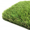 Декоративная трава CCGrass