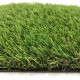 Декоративная трава CCGrass